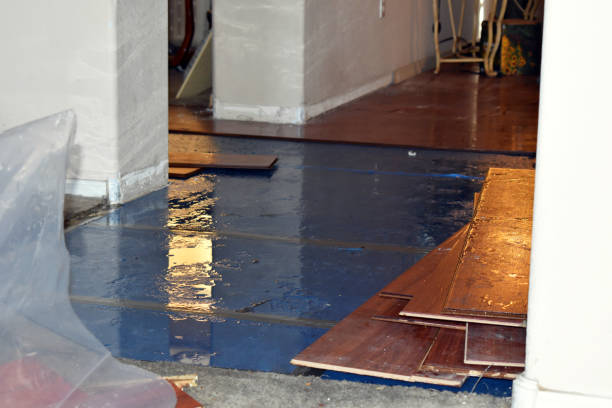Professional Water Damage Restoration technician working in Chilhowee, MO